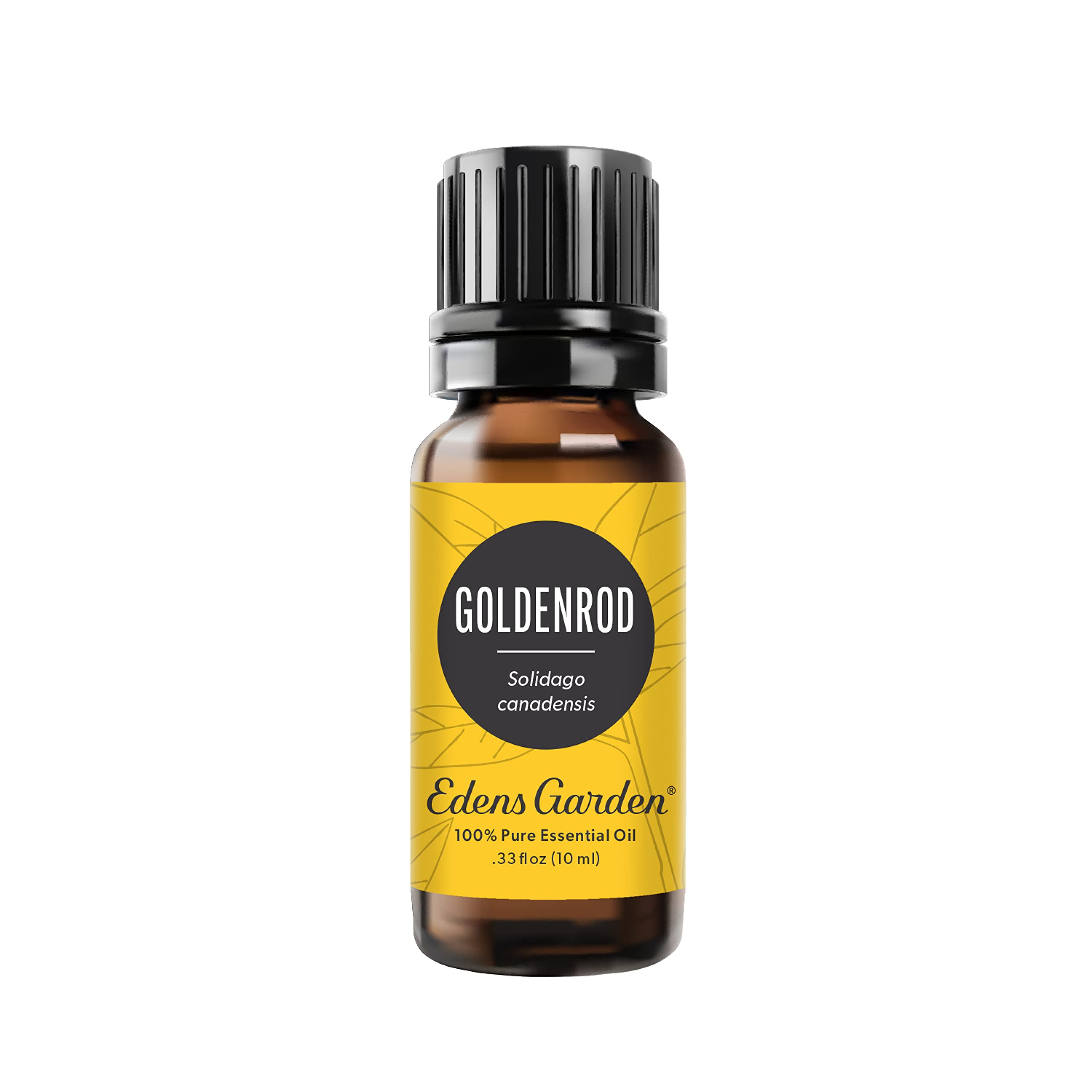 Edens Garden Goldenrod bottle front shows pure essential oil for aromatherapy use.