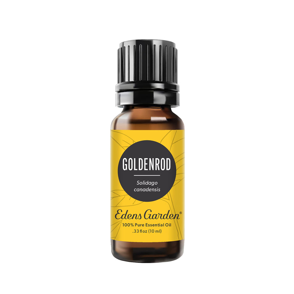 Edens Garden Goldenrod bottle front shows pure essential oil for aromatherapy use.