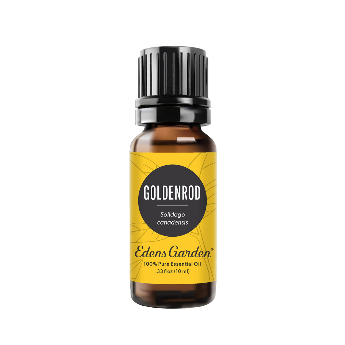 Edens Garden Goldenrod bottle front shows pure essential oil for aromatherapy use.