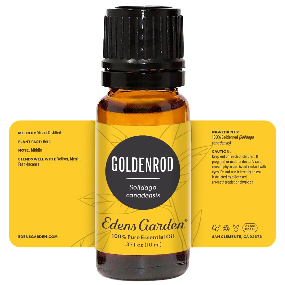 Edens Garden Goldenrod herbal notes closeup evokes sweet, herbaceous fragrance.