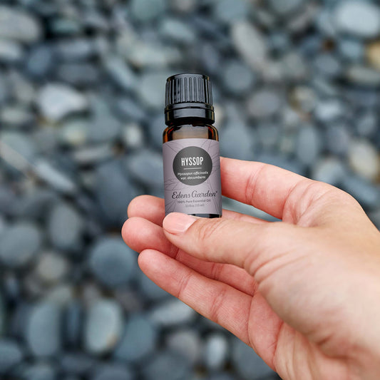 Edens Garden hyssop diffuser bottle: helps create a fresh, uplifting atmosphere for focused breathing.