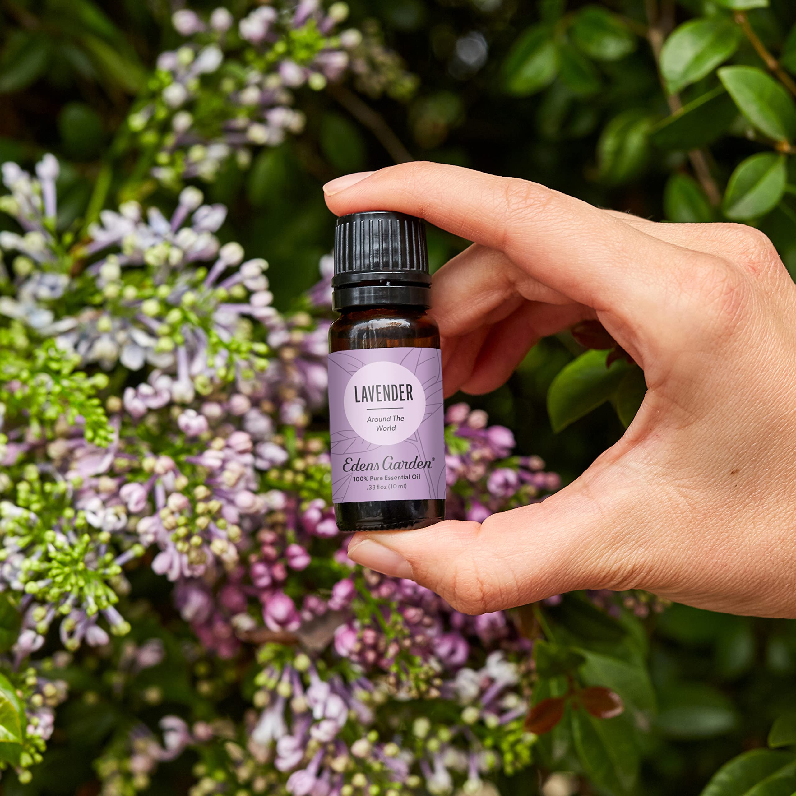 Edens Garden Lavender Around The World diffuser setup promotes calming spaces