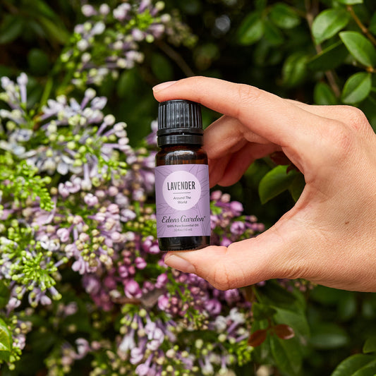 Edens Garden Lavender Around The World diffuser setup promotes calming spaces