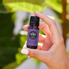 Lavender Fine oil ready for diffuser sessions to create a tranquil space