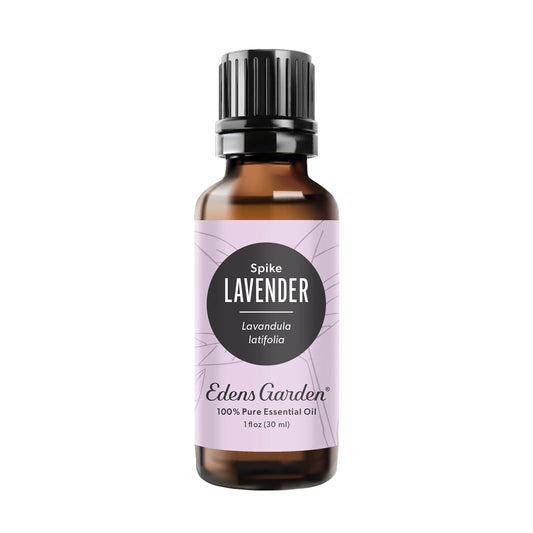 Edens Garden Lavender-Spike bottle pour for calming aromatherapy sessions.