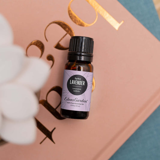 Edens Garden Lavender-Spike diffuser in-room setup for relaxing ambiance.
