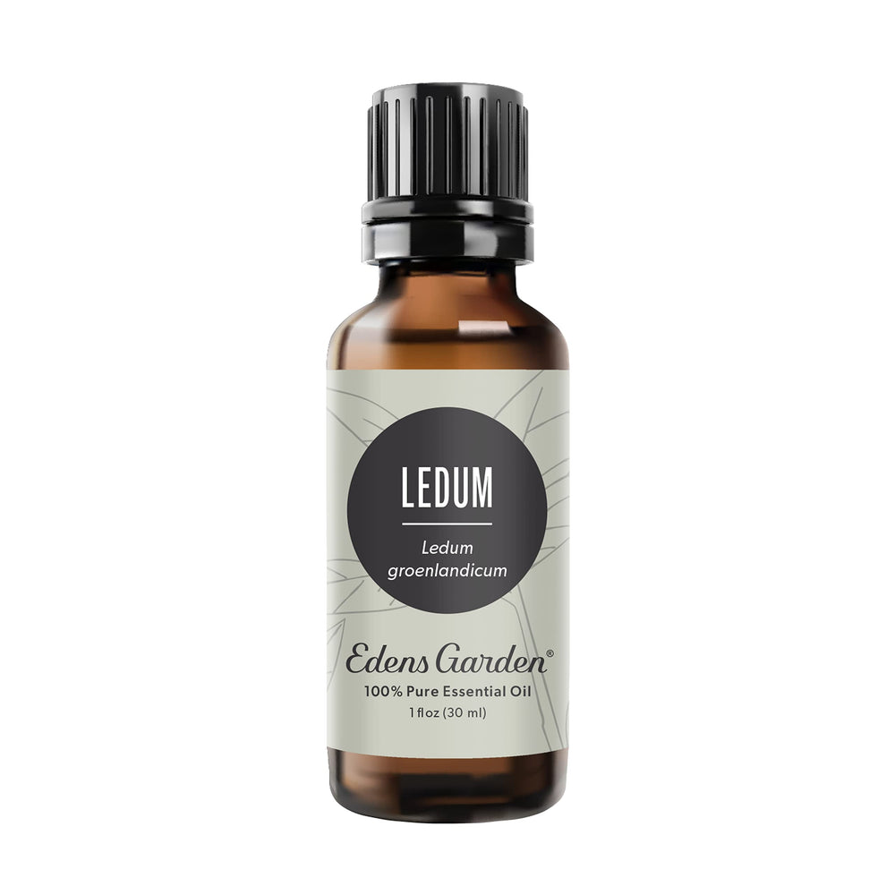 Edens Garden Ledum essential oil bottle with label for grounding aromatherapy use