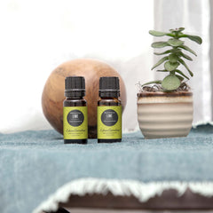 Edens Garden Lime Steam Distilled Oil diffuser scene releases uplifting citrus notes.