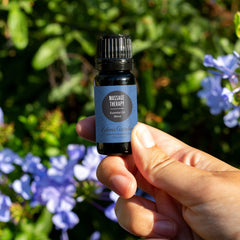 Edens Garden Massage Therapy oil diffusing — gentle, revitalizing aroma for rooms