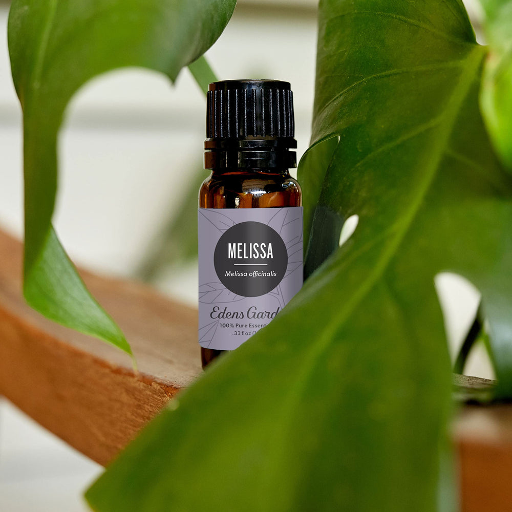 Edens Garden Melissa oil in a diffuser creating a lemony, uplifting ambiance.