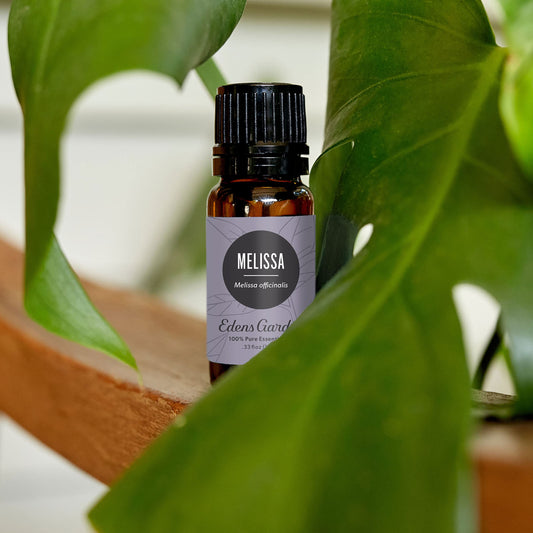Edens Garden Melissa oil in a diffuser creating a lemony, uplifting ambiance.