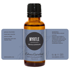 Aromatherapy setup featuring Edens Garden Myrtle oil—calm focus
