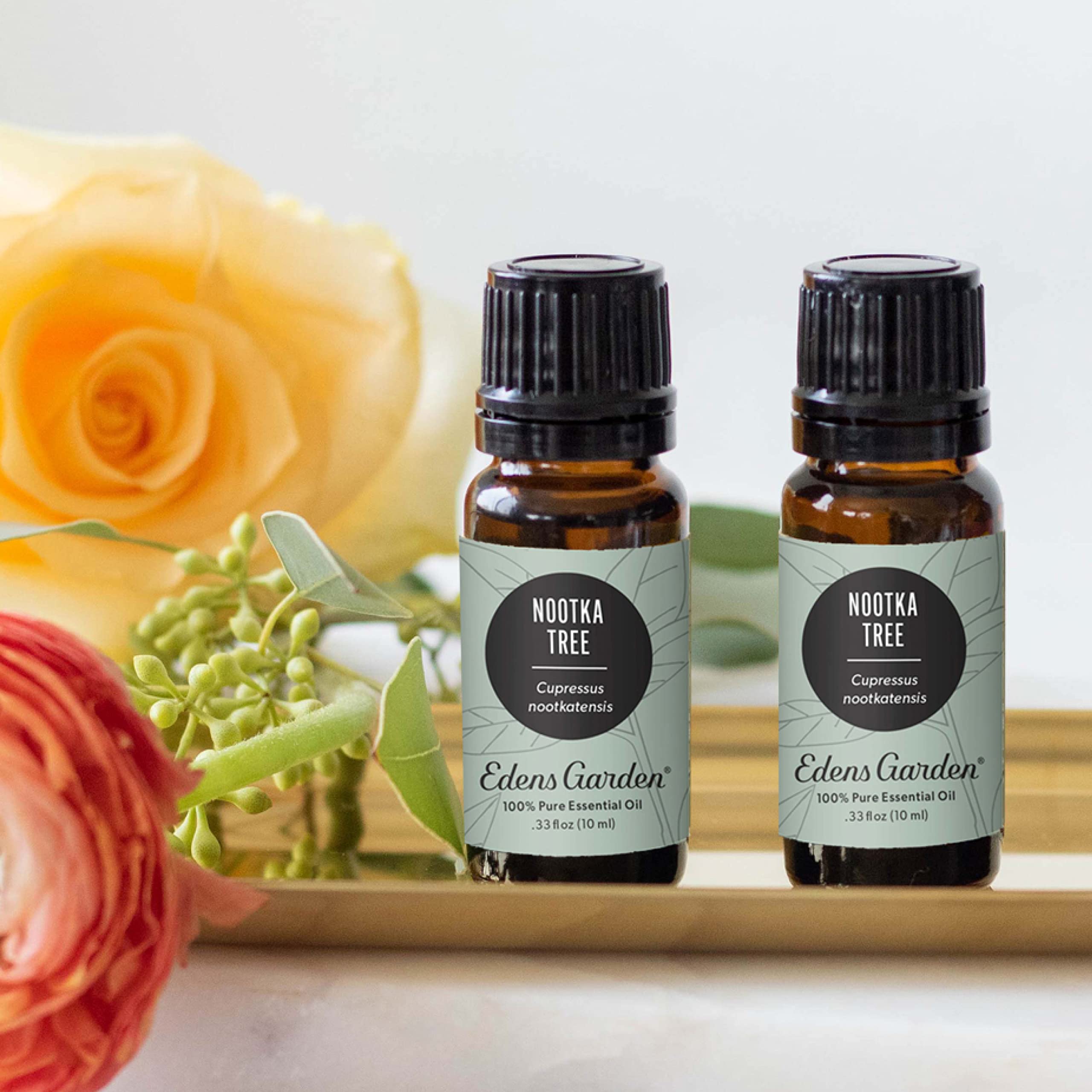 Edens Garden Nootka Tree oil diffuser; fills large rooms with forest notes.