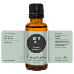 Edens Garden Nootka Tree oil scene; natural forest vibe for calm evenings.