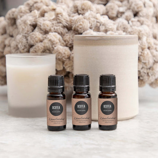 Edens Garden Ocotea diffuser-ready blend ready to fill a room with warmth.