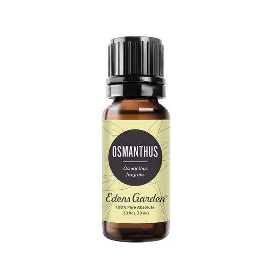 Edens Garden Osmanthus essential oil bottle for premium aroma.