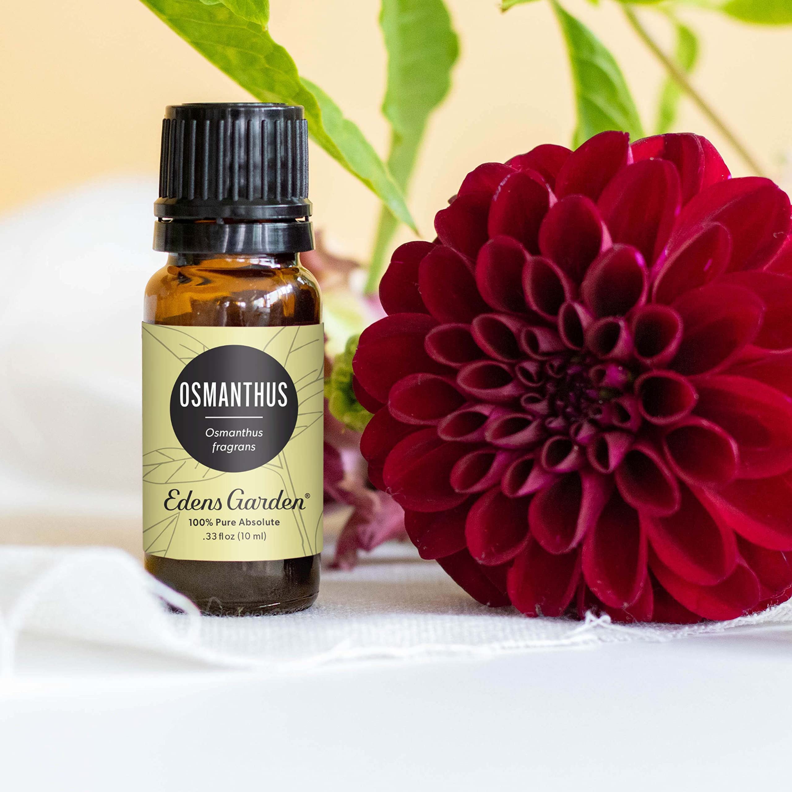 Edens Garden Osmanthus oil dropper ready for topical use.