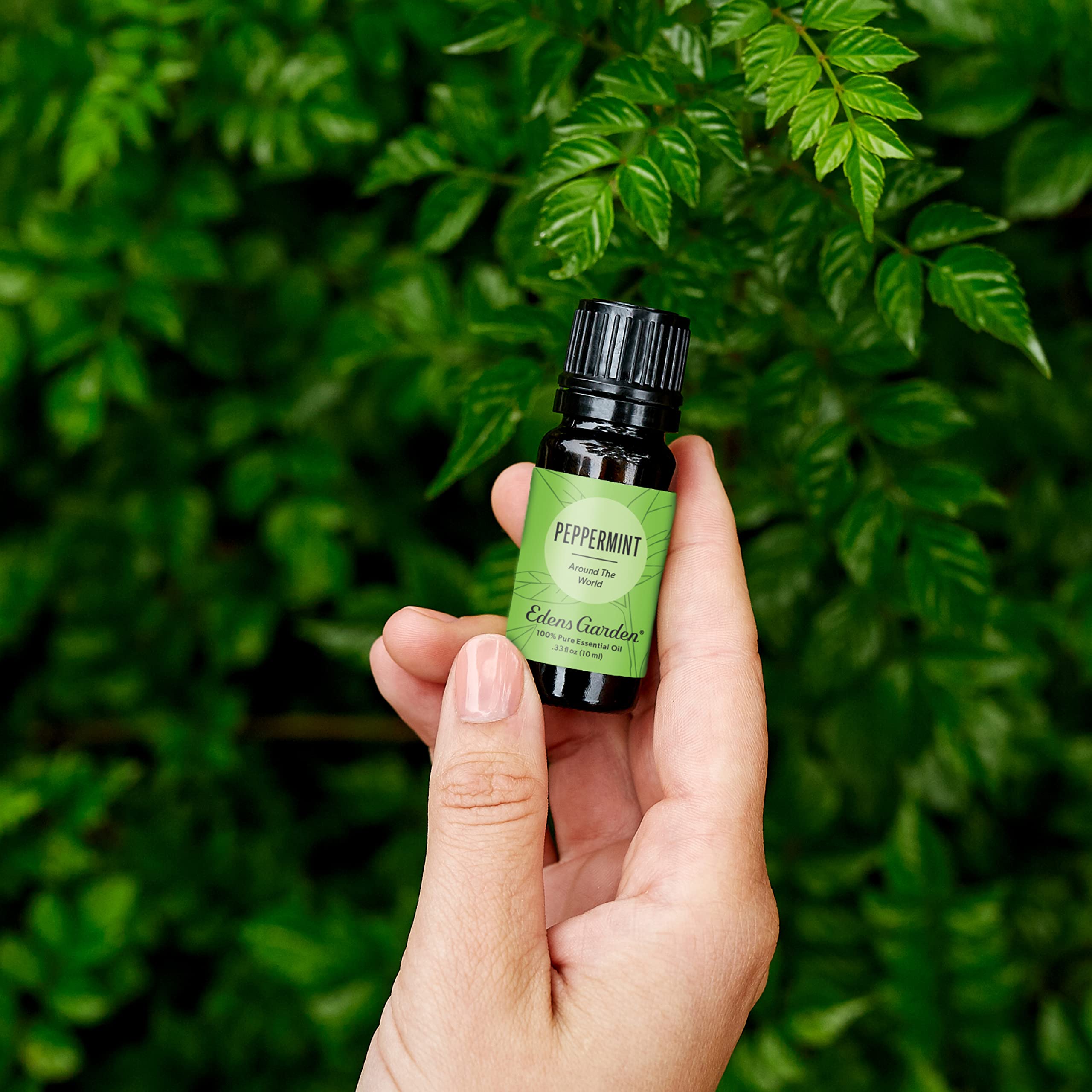 Peppermint Around The World diffuser setup energizes the room