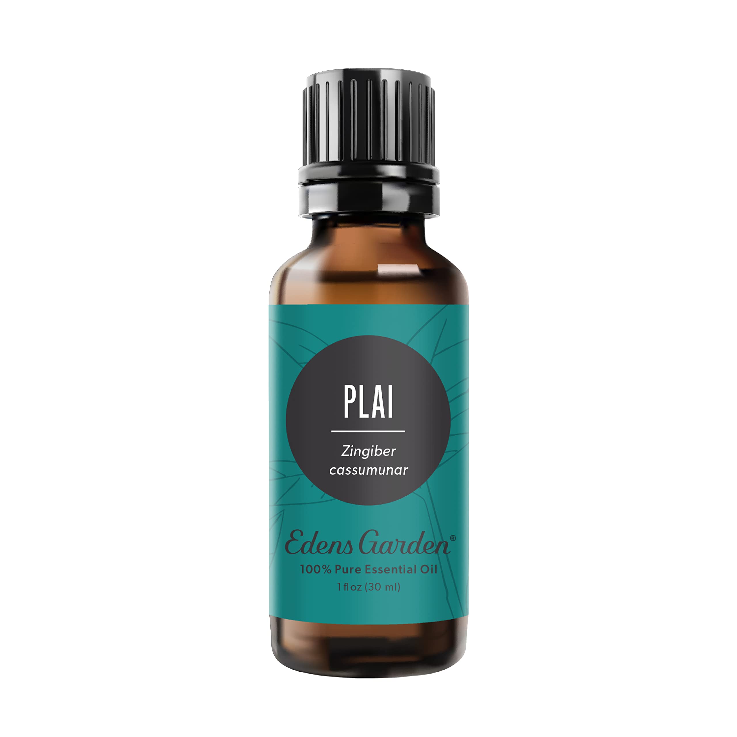 Edens Garden Plai essential oil bottle displaying pure oil for a calming ambiance.