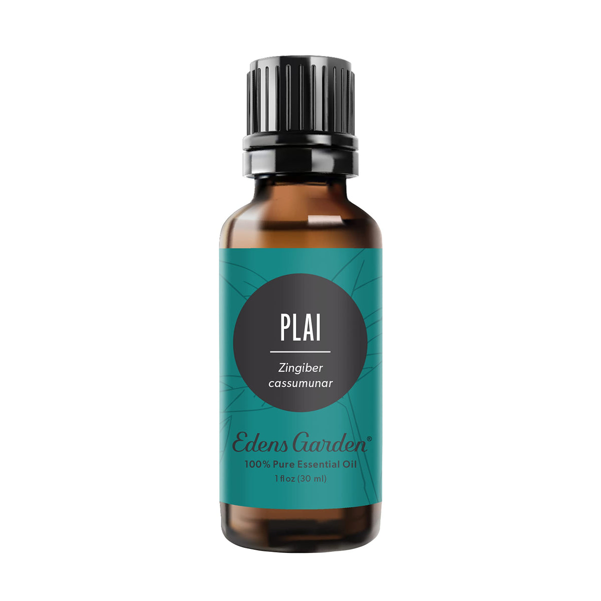 Edens Garden Plai essential oil bottle displaying pure oil for a calming ambiance.