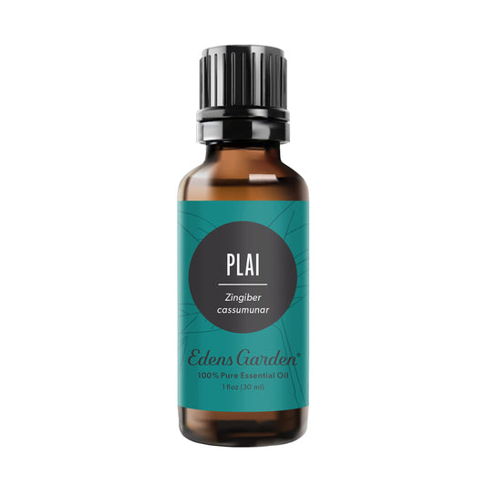 Edens Garden Plai essential oil bottle displaying pure oil for a calming ambiance.