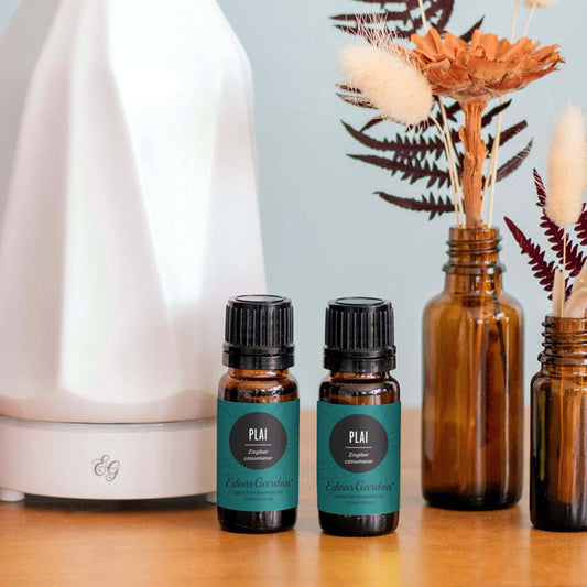 Plai essential oil in a diffuser setup highlighting earthier, soothing aroma.