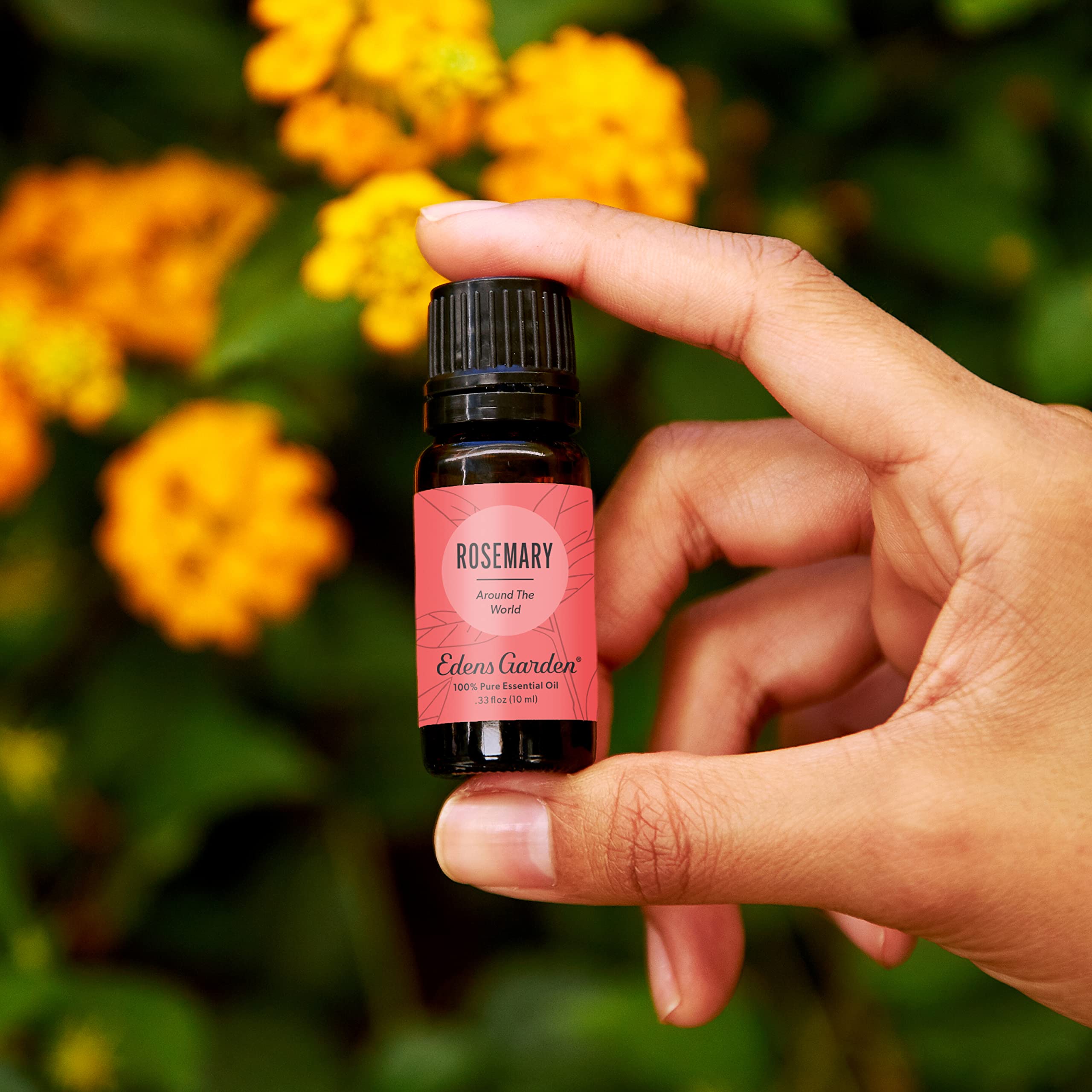 Edens Garden Rosemary Around The World diffuser setup for concentration