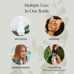 Edens Garden sage-dalmatian aromatherapy scene highlighting air-purifying and grounding benefits.