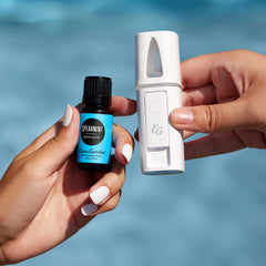 Edens Garden Spearmint oil bottle cap sealing in freshness and potency.