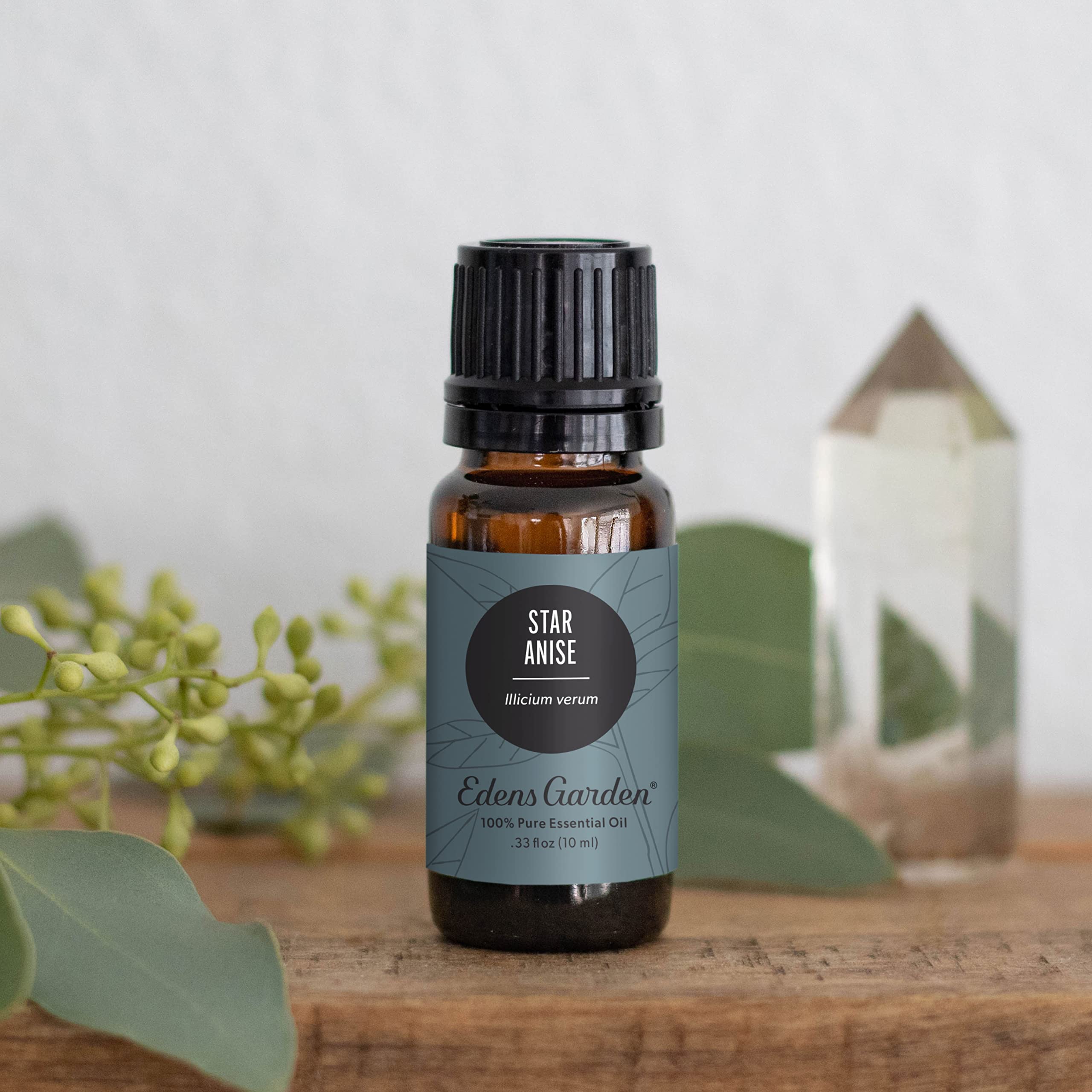 Edens Garden Star Anise diffusing in a room for warm, inviting fragrance.