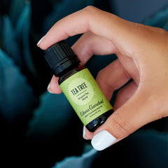 Edens Garden Tea Tree Around The World diffuser scene for a clean air ambiance