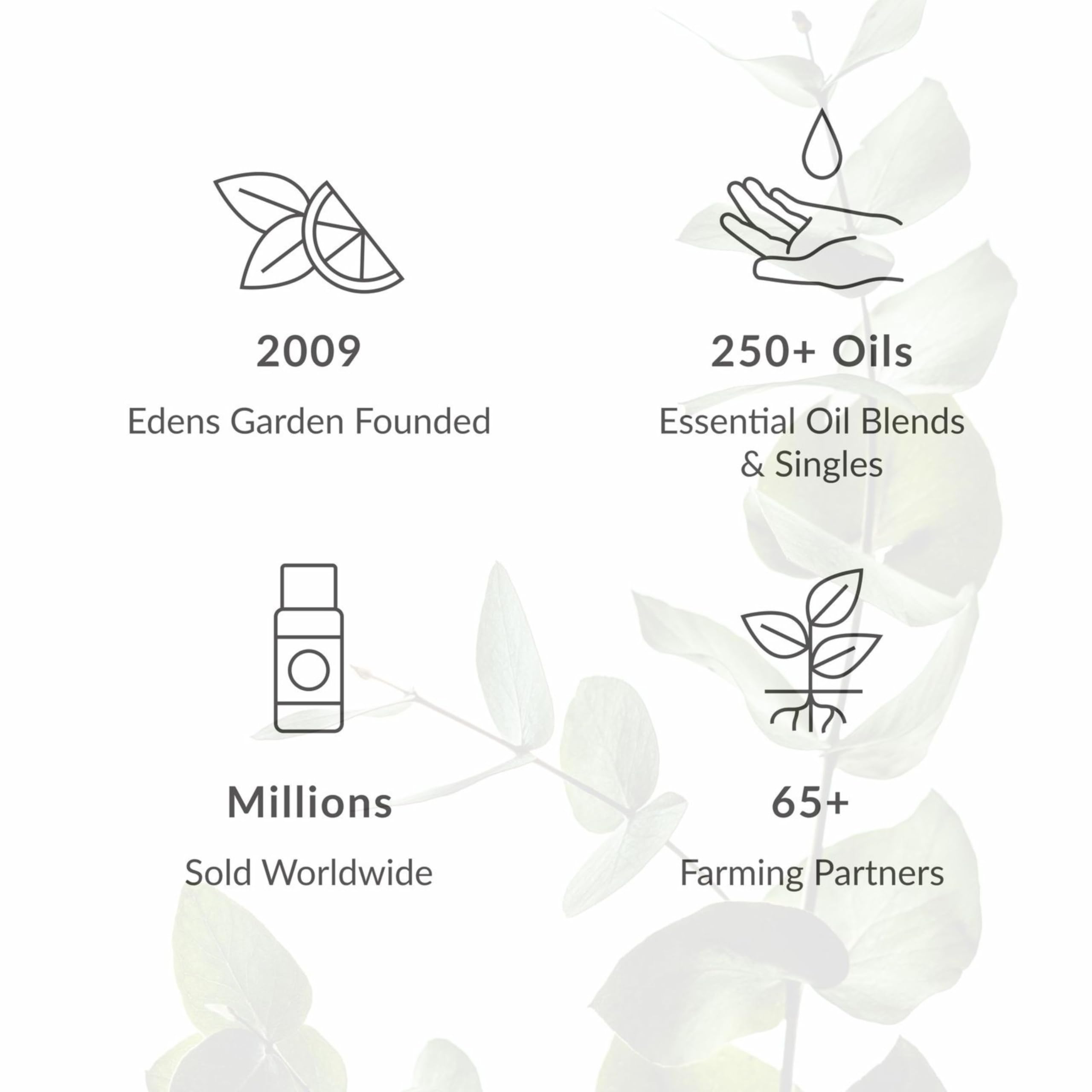 Edens Garden Tummy Aid bottle emphasizing 100% pure essential oils