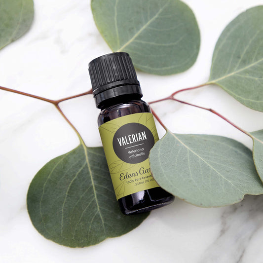 Edens Garden Valerian Oil in diffuser creating a calming atmosphere
