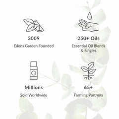 Edens Garden Ylang Ylang Complete laundry scent addition for fresh textiles