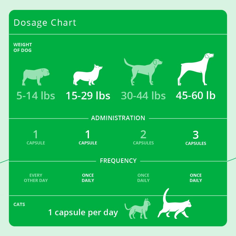 Eicosa3FF SnipCaps skin and coat support for dogs and cats during routine care.