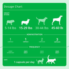 Eicosa3FF SnipCaps skin and coat support for dogs and cats during routine care.