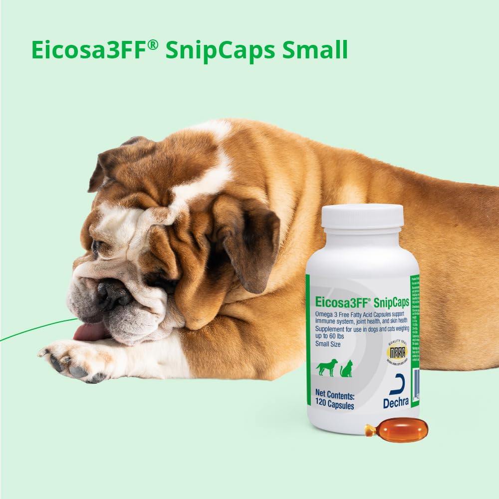 Eicosa3FF SnipCaps travel-friendly packaging for dogs and cats supports on-the-go supplementation.