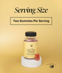 The Elderberry Co. Lion's Mane Gummies texture close-up shows chewy consistency.