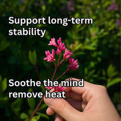 Eleotin LBM packaging box with herbal vitality cues for overall well-being.