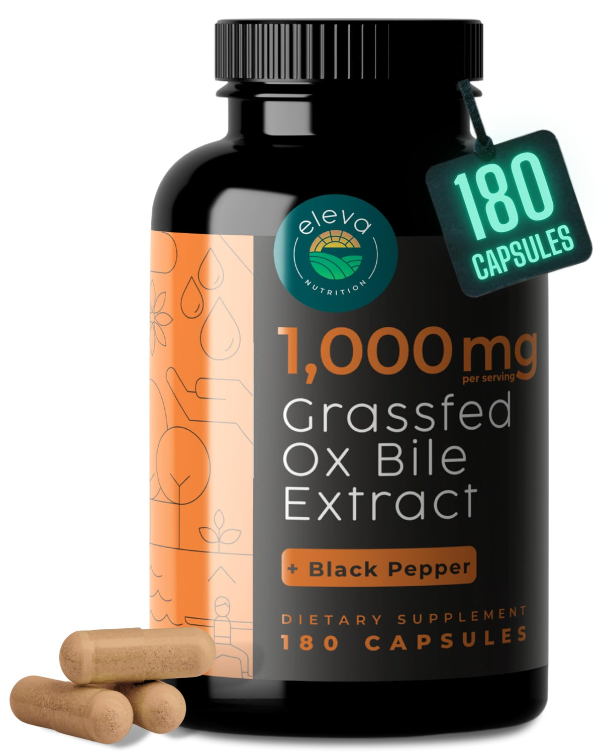 Eleva Nutrition ox bile bottle overview with high-potency supplement for digestion balance