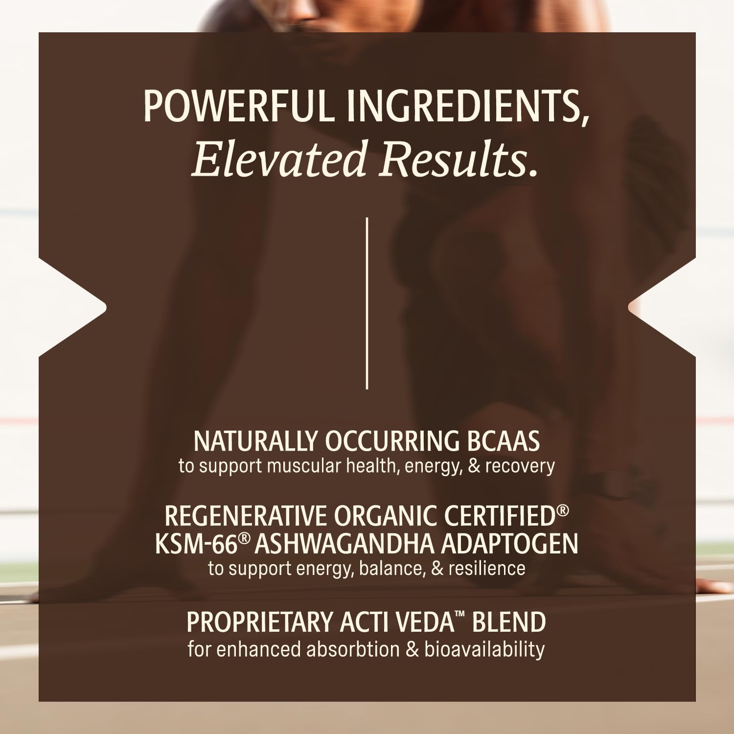 Elevate Organic Ayurvedic blend with mucuna and tribulus for men’s vitality.