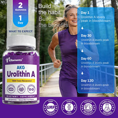 ELLAMENTZ lifestyle scene with daily routine including supplement for consistency