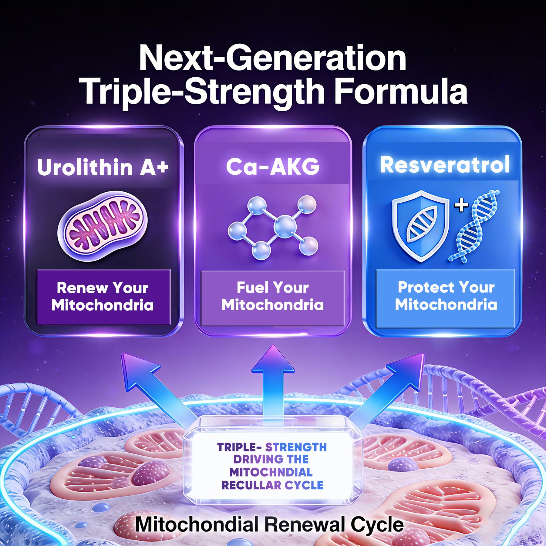 ELLAMENTZ label close-up emphasizing Urolithin A and resveratrol ingredients