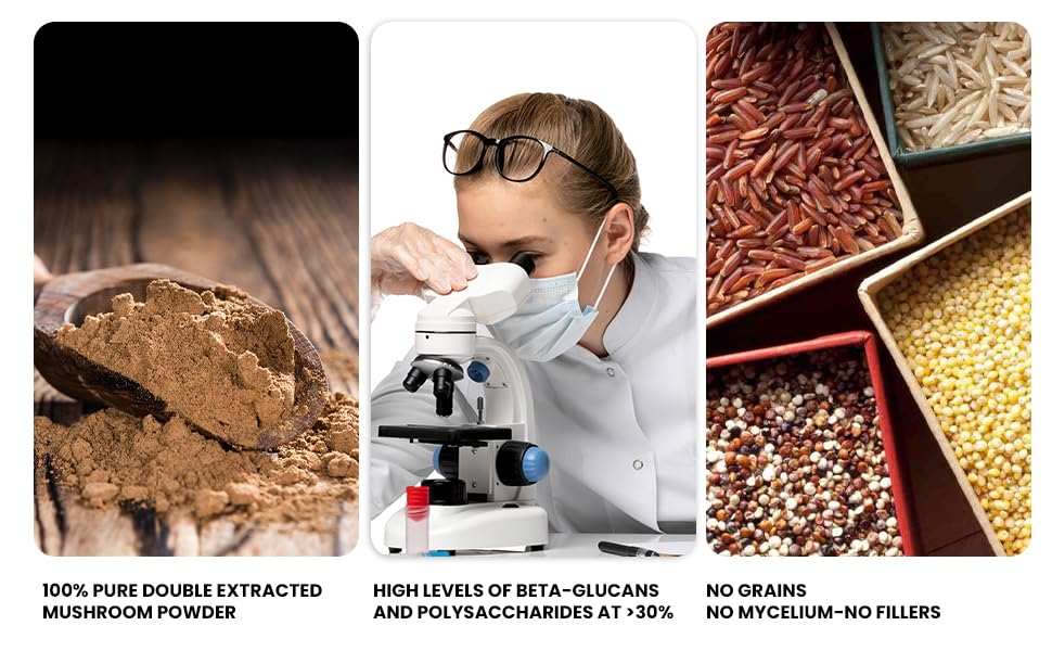 Ellie's Best 7 Mushroom Extract serving visual for daily use