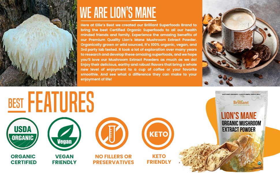 Ellie's Best Lions Mane fruiting bodies illustration as pure natural source