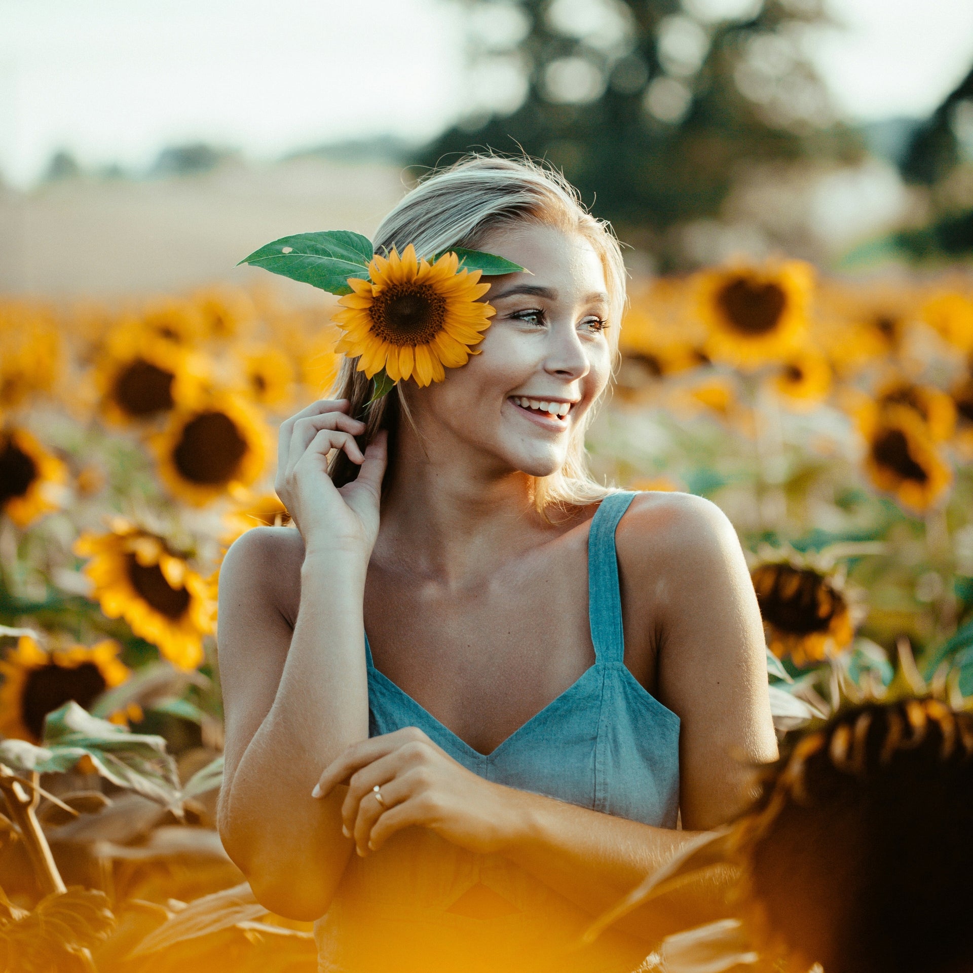 Woman with a sunflower in her hair standing in a sunflower field
