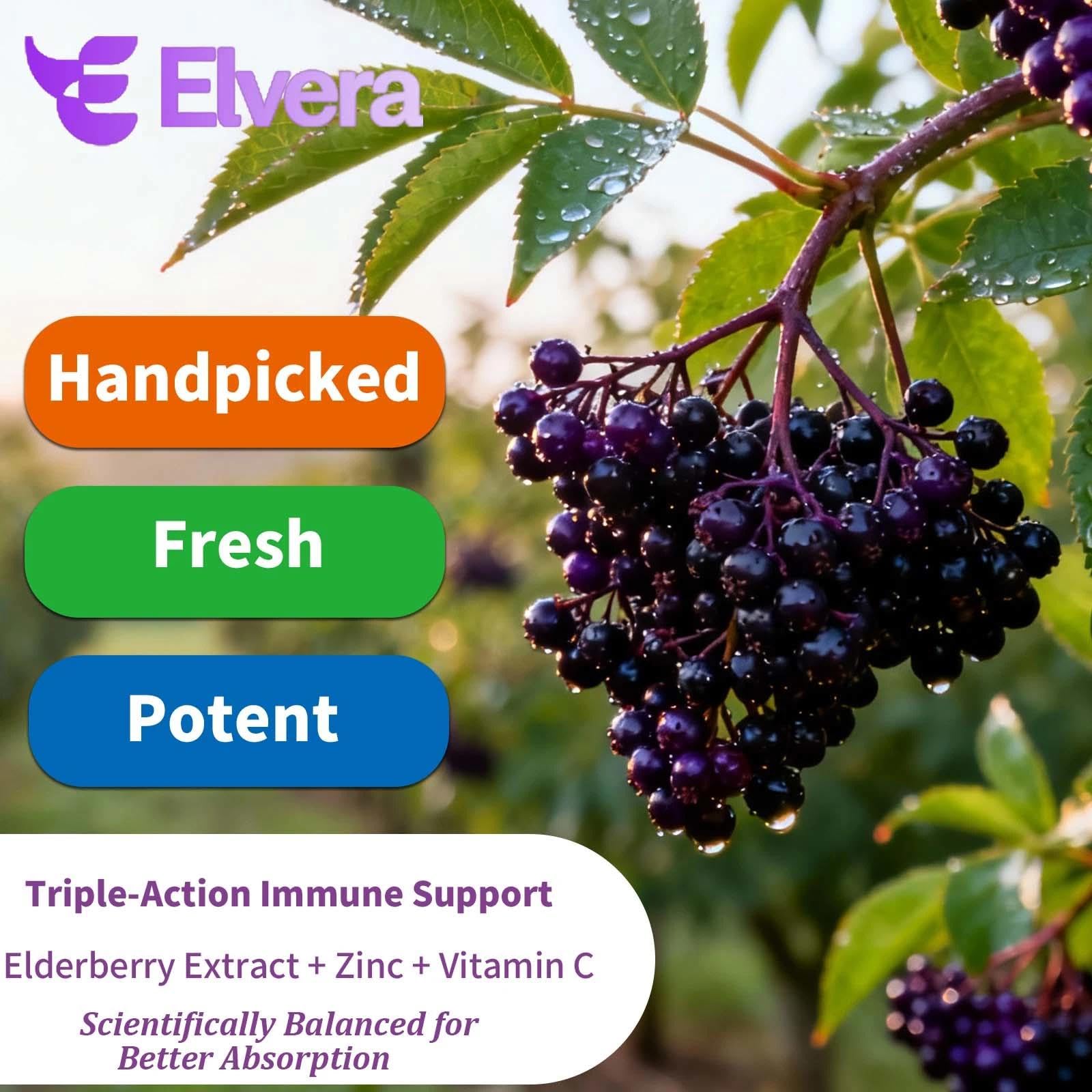 ELSORY Elvera bottle showcases 120-count supply for convenient daily use.