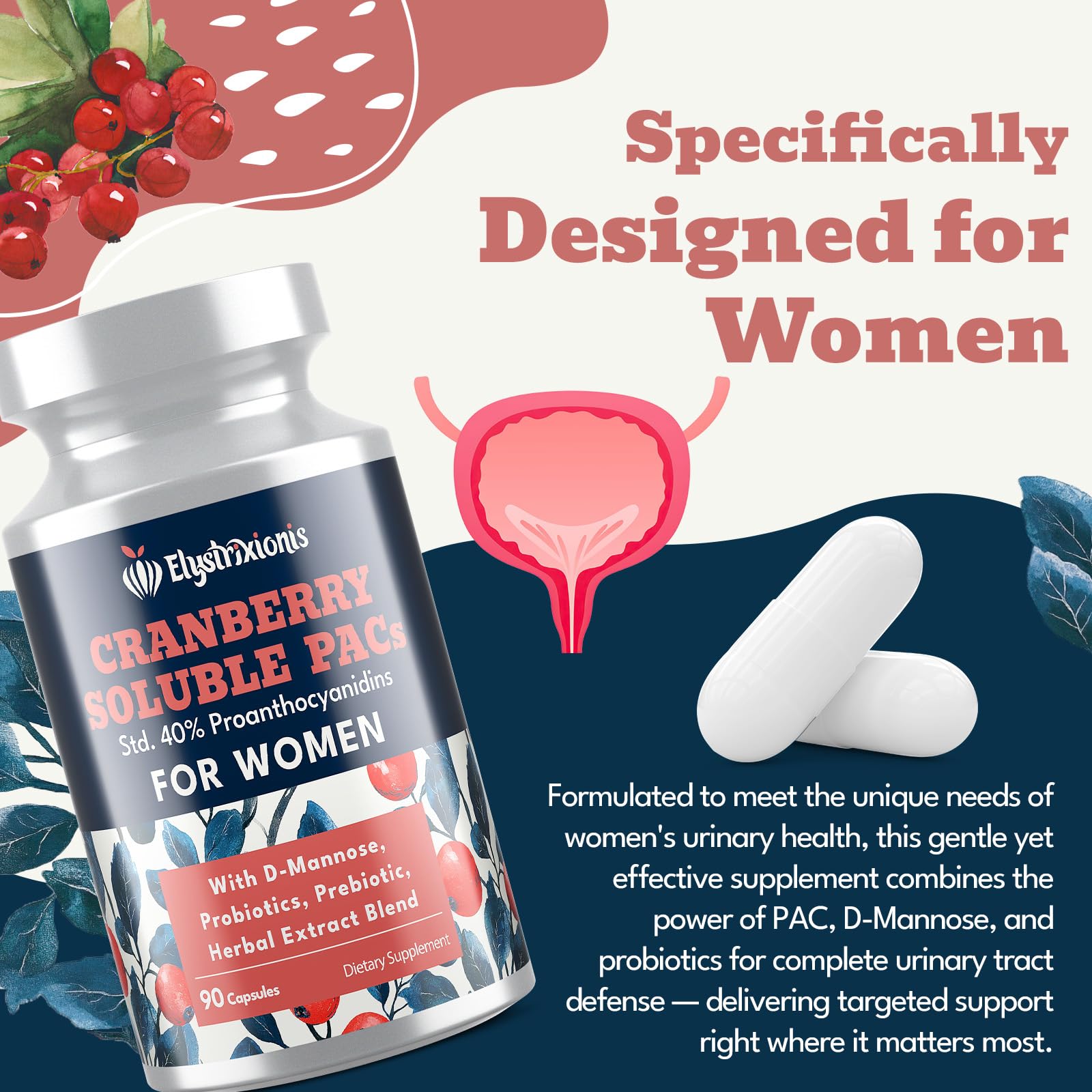 Elystrixionis Cranberry Pills ingredients chart including probiotics and D-Mannose