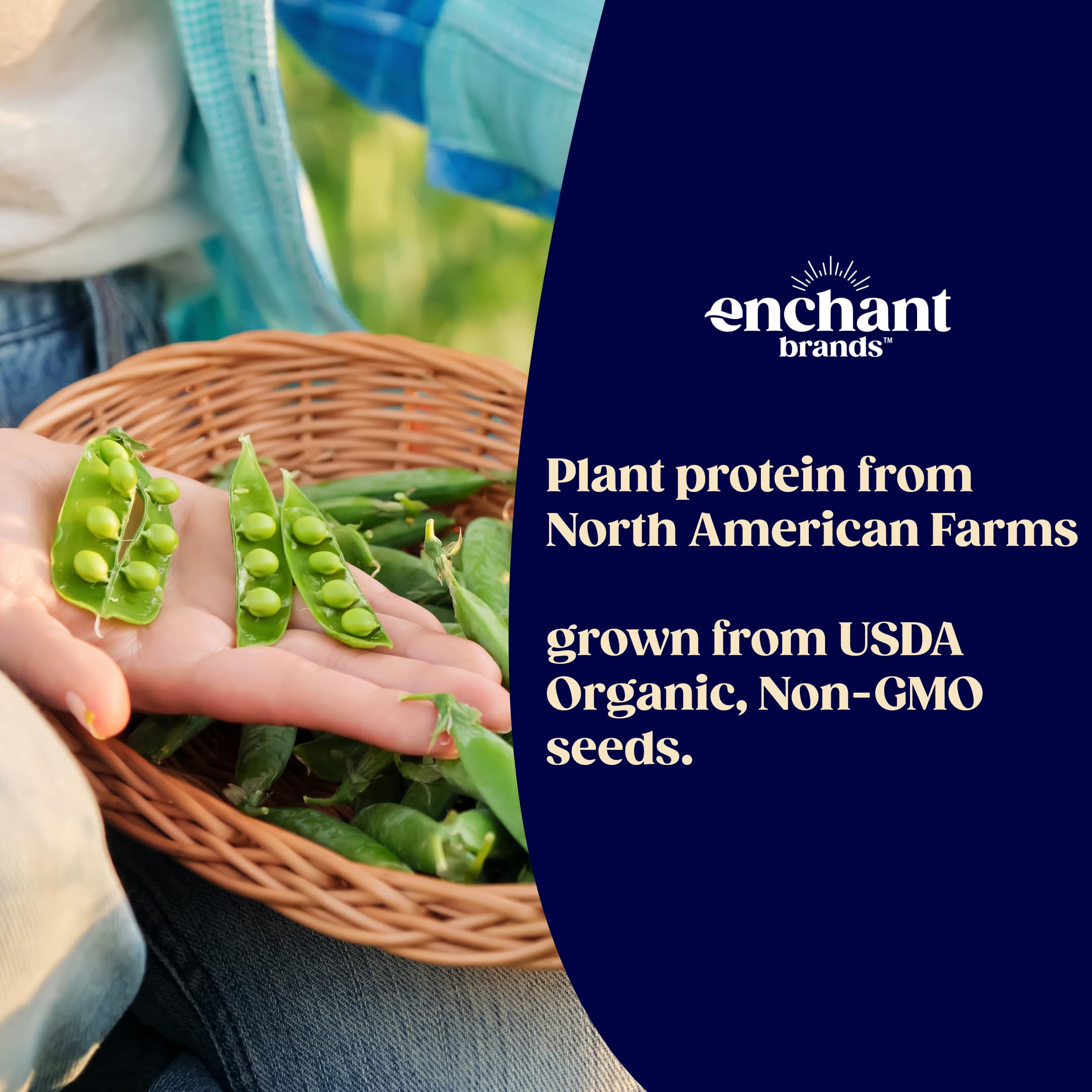 Enchant Organic Protein Powder label emphasizes USDA Organic and Non-GMO ingredients for clean nutrition.