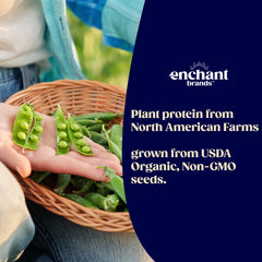 Enchant Organic Protein Powder Vanilla Almond stirred into oats for a plant-based breakfast.